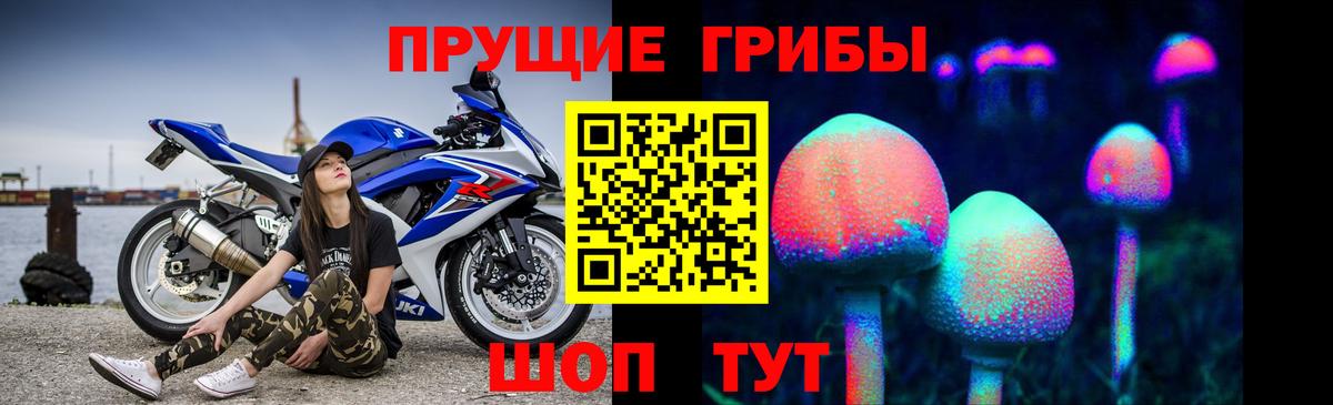 Псилоцибиновые грибы GOLDEN TEACHER Гуково
